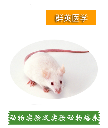 動物實驗 實驗動物培養(yǎng)