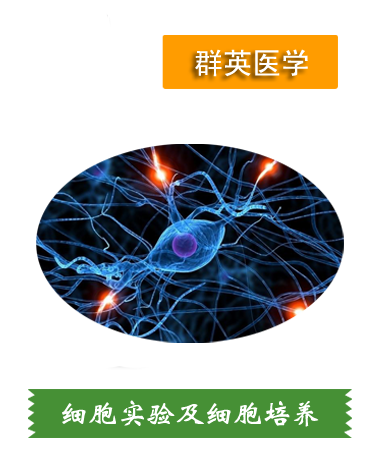 細胞實驗、細胞培養(yǎng)