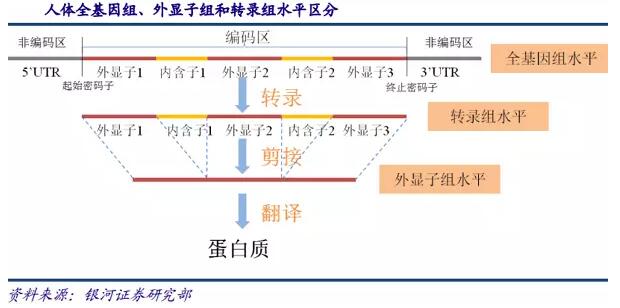 基因測序發(fā)展新態(tài)勢：在上游發(fā)展三四代技術(shù)，在下游完成樣本積累