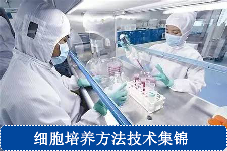 細胞培養(yǎng)方法技術(shù)集錦